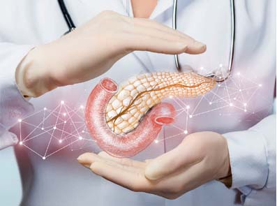 læge som holder en pankreas