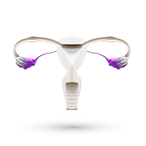 Overgangsalder, menopause